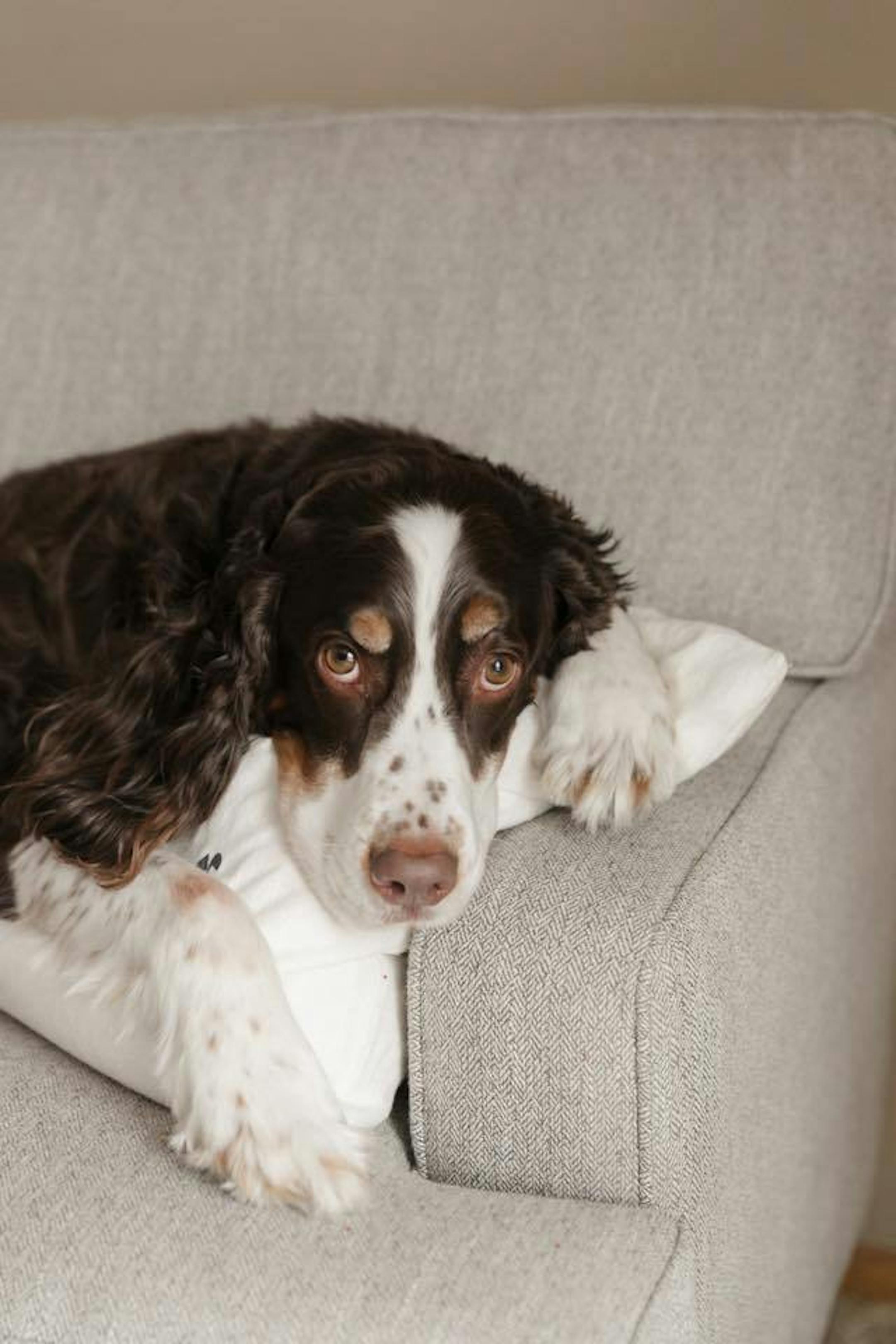 ORG XMIT: 0-_5VlLM9crAcjI232dS