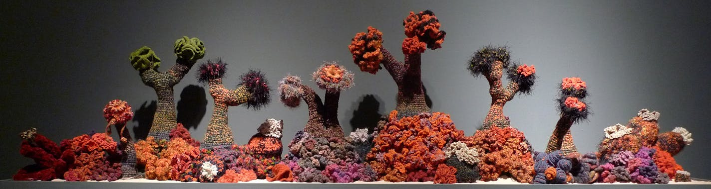 Part of the Leonardo da Vinci, the Codex Leicester and the Creative Mind at the Minneapolis Institute of Art, June 2015 Institute For Figuring, Crochet Coral Reef , 2005 - ongoing. Photo &#xa9; IFF Archive