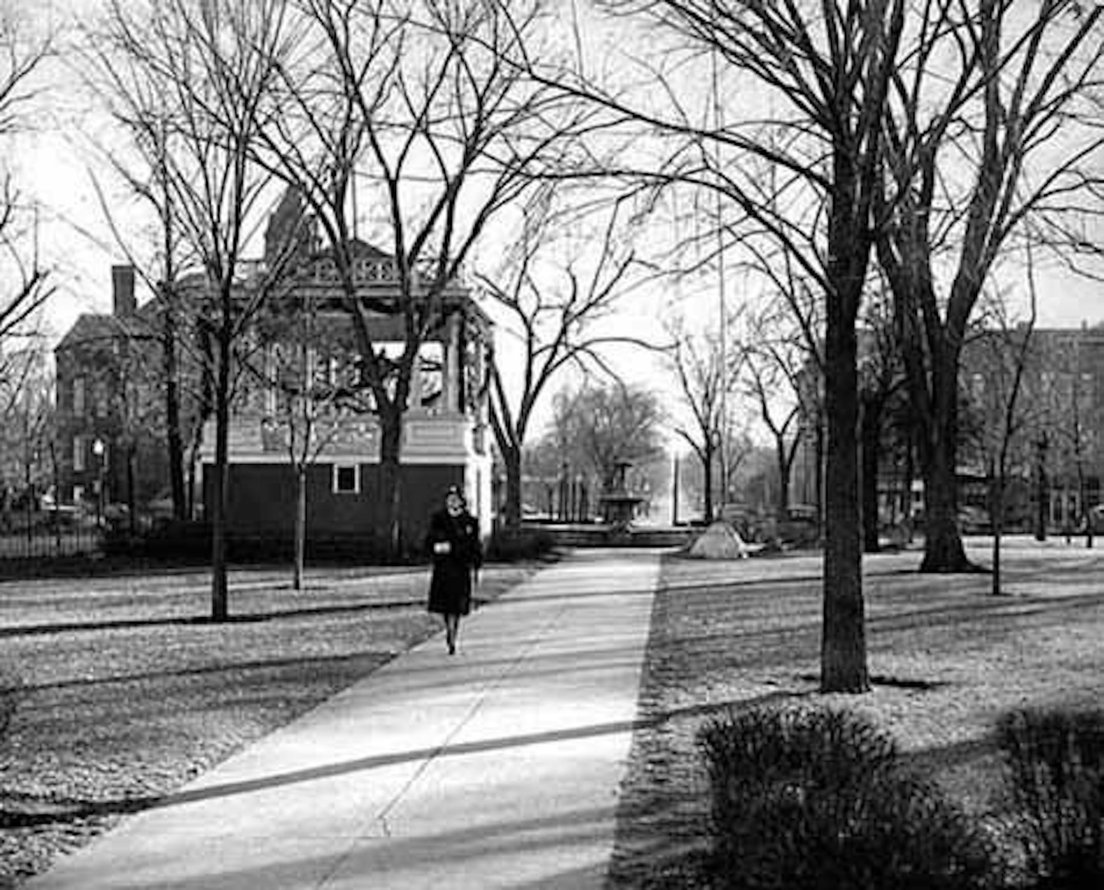 Central Park, Owatonna