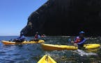 Channel Islands by kayak: Tours include excursions into sea caves, and occasional encounters with harbor seals.