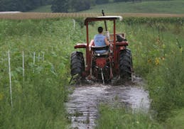 RUSHFORD VILLAGE, MN:082407---Evan Meier from Featherstone Fruits and Vegetables drives a tractor through one of the farms fields where areas are stil