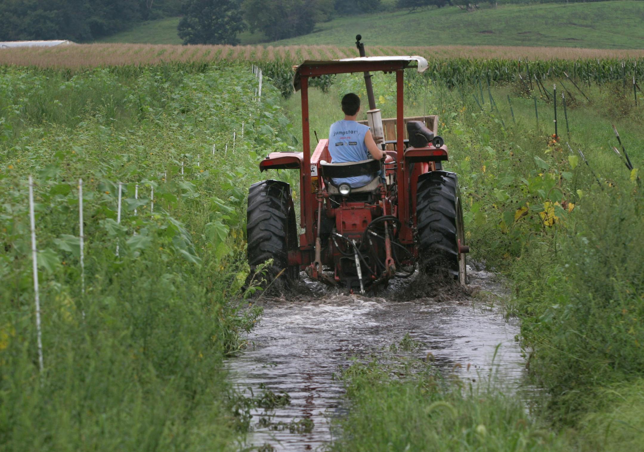 RUSHFORD VILLAGE, MN:082407---Evan Meier from Featherstone Fruits and Vegetables drives a tractor through one of the farms fields where areas are still under water and crops damaged. Field hands spent the morning harvesting melons destined for stores and also for the Red Cross shelter in Rushford. STAR TRIBUNE David Denney &#x2022;ddenney@startribune.com