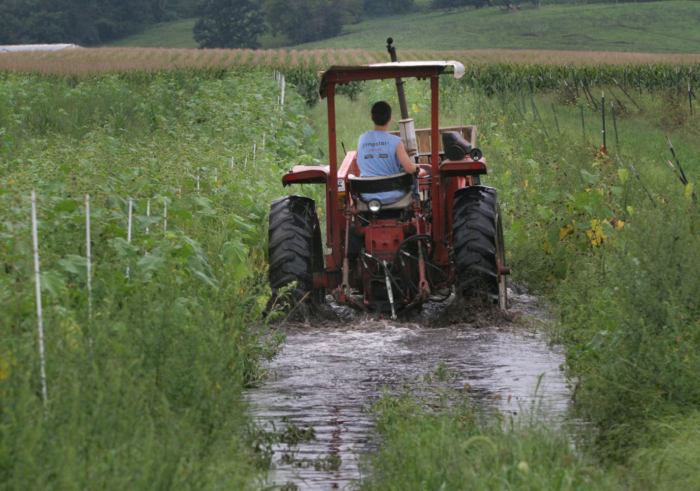 RUSHFORD VILLAGE, MN:082407---Evan Meier from Featherstone Fruits and Vegetables drives a tractor through one of the farms fields where areas are still under water and crops damaged. Field hands spent the morning harvesting melons destined for stores and also for the Red Cross shelter in Rushford. STAR TRIBUNE David Denney &#x2022;ddenney@startribune.com