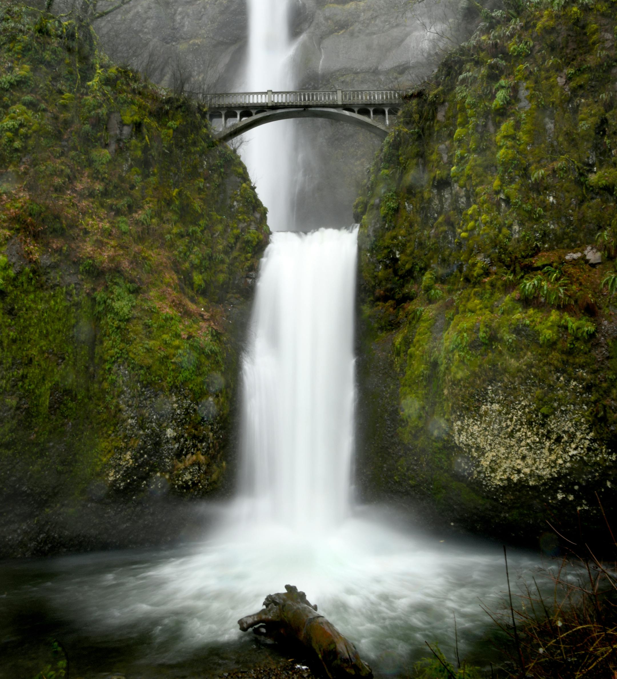 This is Multnomah Falls in the Columbia River Gorge, Oregon. There are several falls in the Gorge but this is the most visited and most photographed. With a drop of approximately 620 feet it is the tallest waterfall in Oregon and is a beautiful sight! The photo was taken on March 8, 2017 after recent heavy rains.
My name should appear as Darcy Sime and I am from Alden, MN.
The photo is of Multnomah Falls in the Columbia River Gorge in Oregon taken in March of this year when my husband and I were