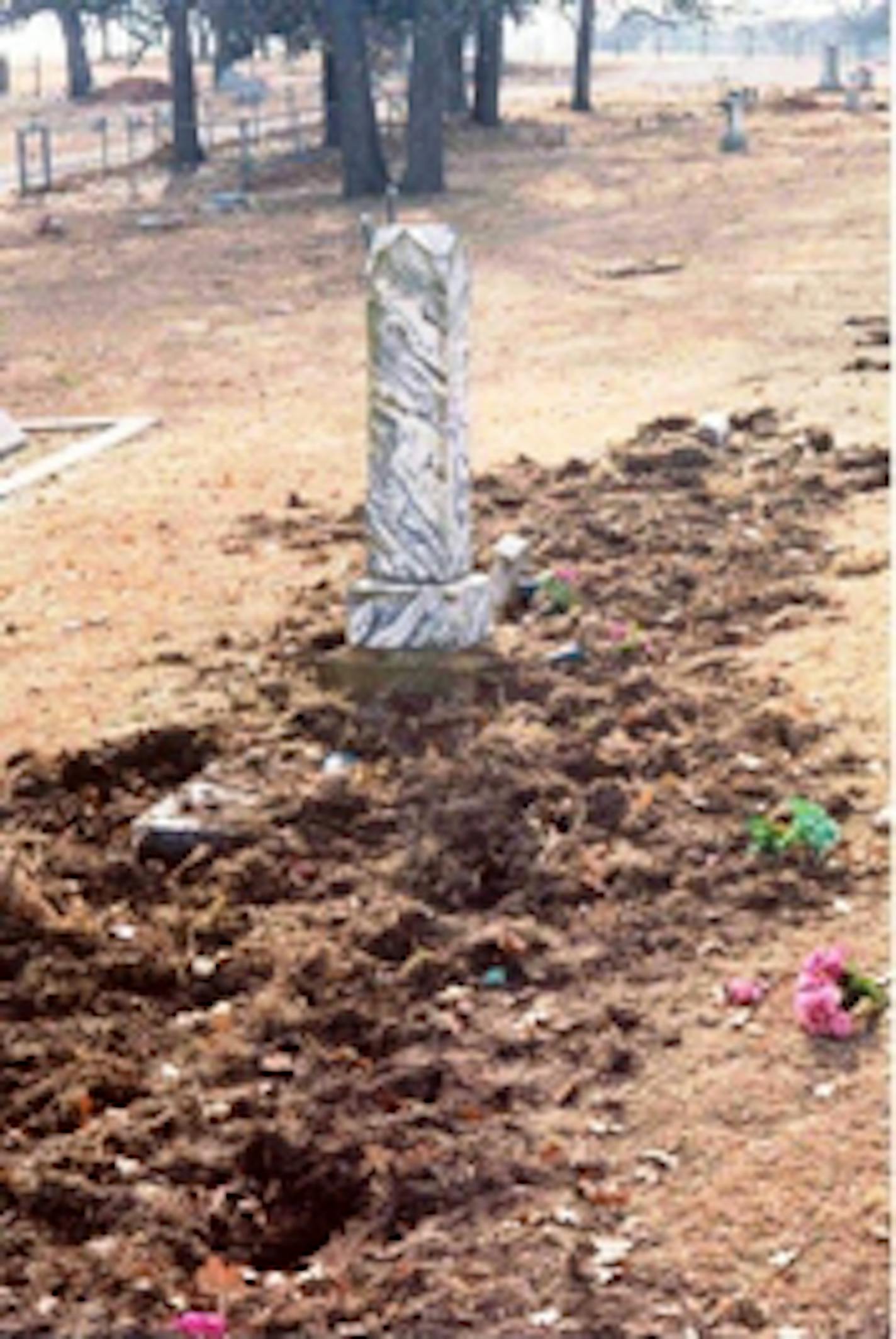 Wild boars desecrated an Oklahoma cemetery