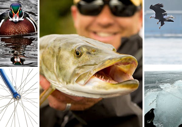 Muskie shows, eagle spotting, ice-out watching, migration prepping … there’s a lot to do in Minnesota this March.