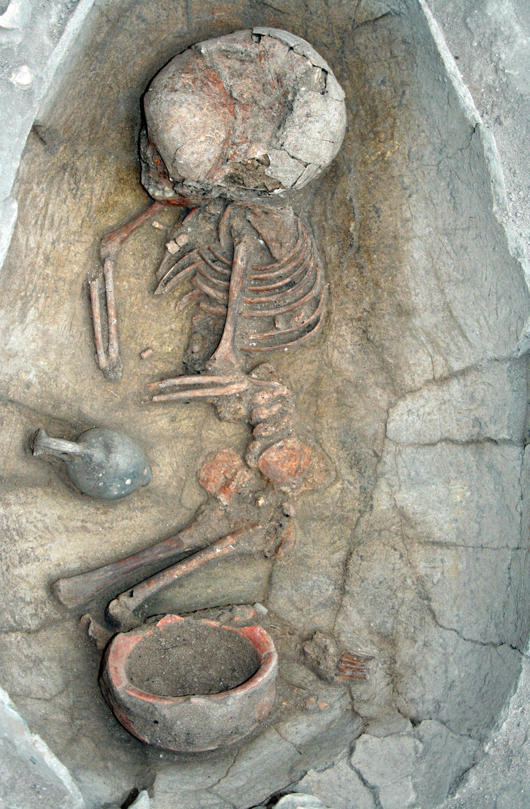 A large jar burial found in Sidon, Lebanon, containing Bronze Age Canaanite remains. New DNA analysis shows that modern-day Lebanese are descendants of the ancient Canaanites. (Claude Doumet-Serhal/The Sidon Excavation/TNS) ORG XMIT: 1207436