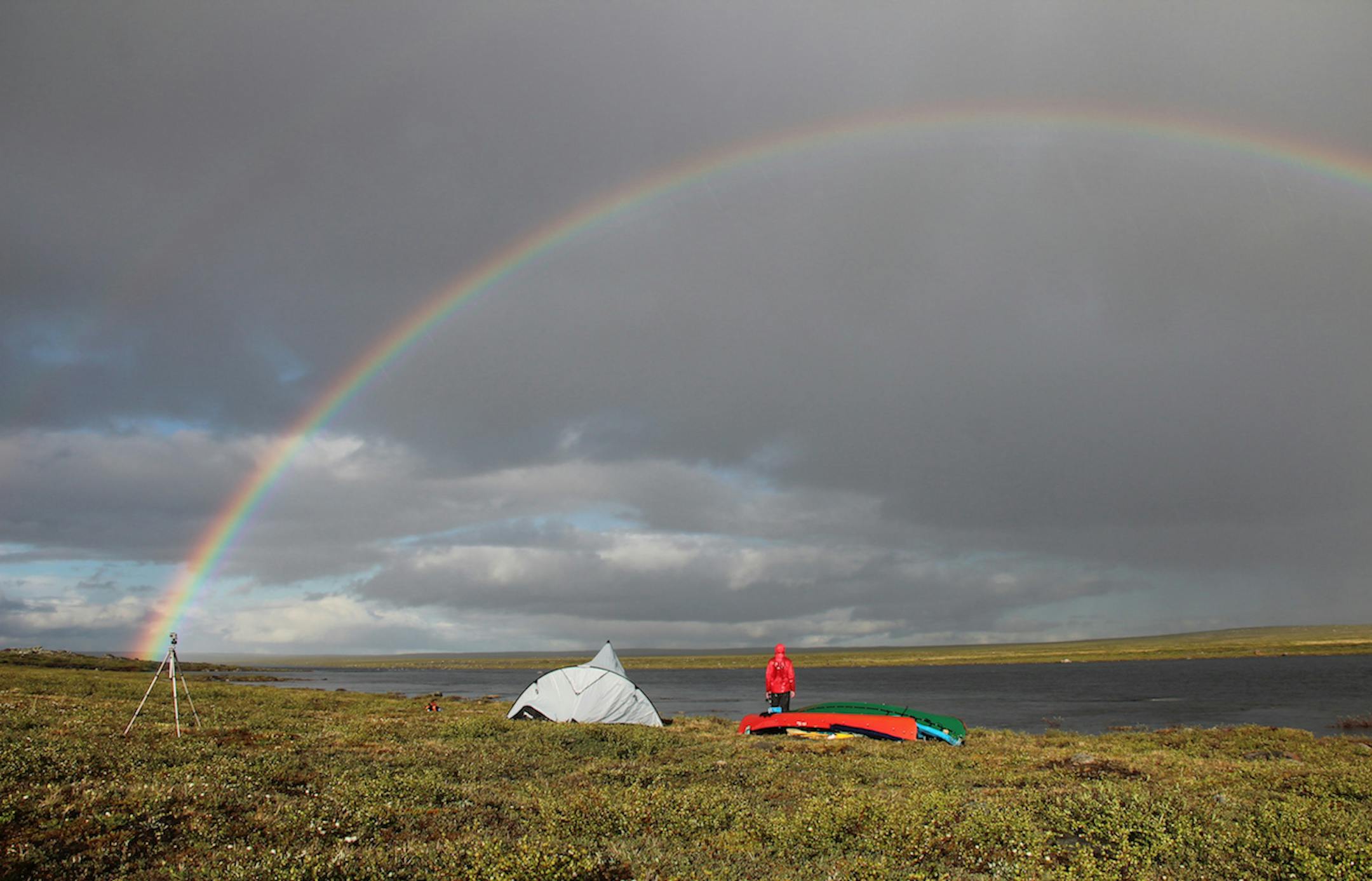 The Arctic tundra produced transcendent beauty.