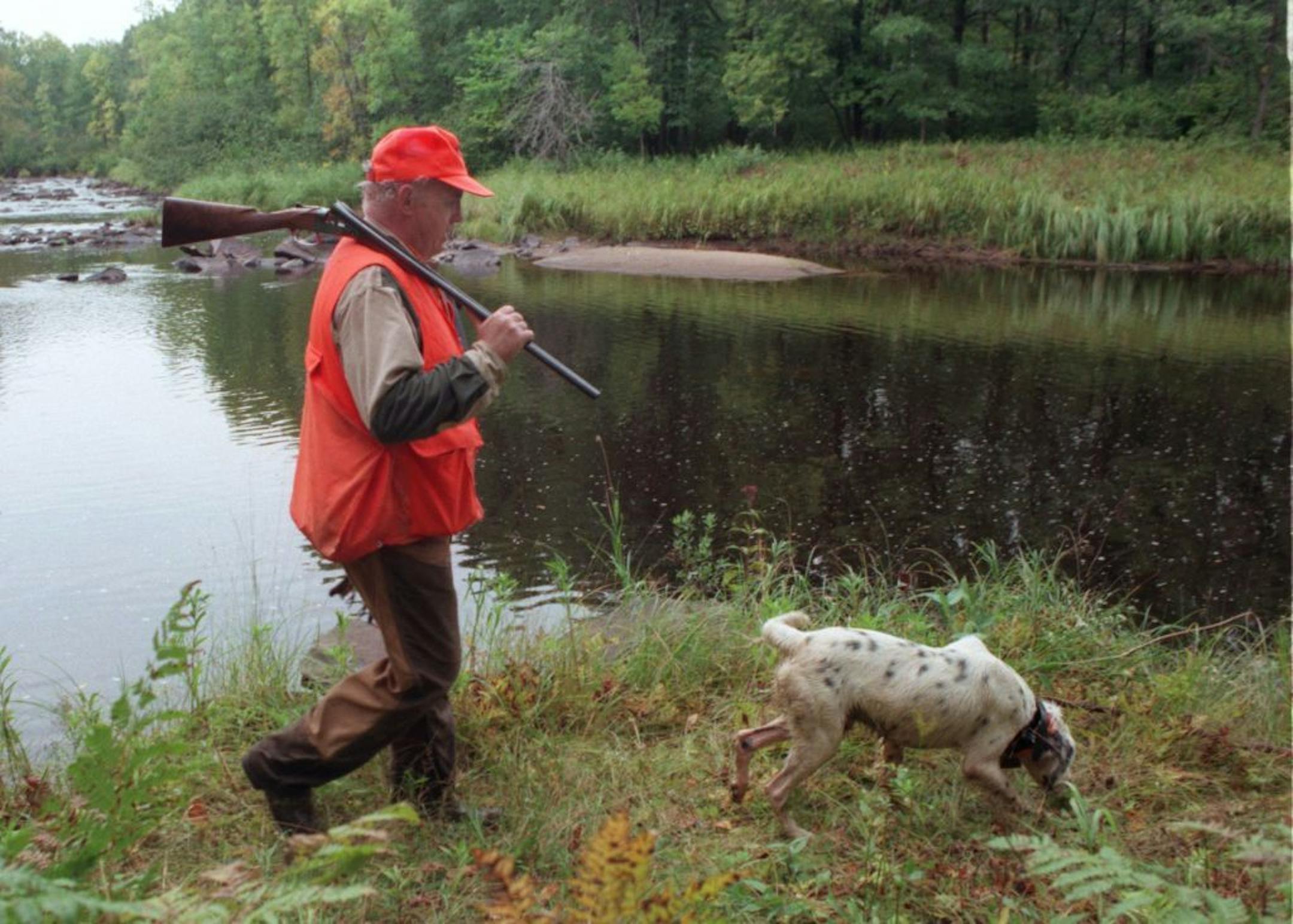 John Farrell and Shiner head back to the trail head North of Mora, Minn., after a grouse opener.