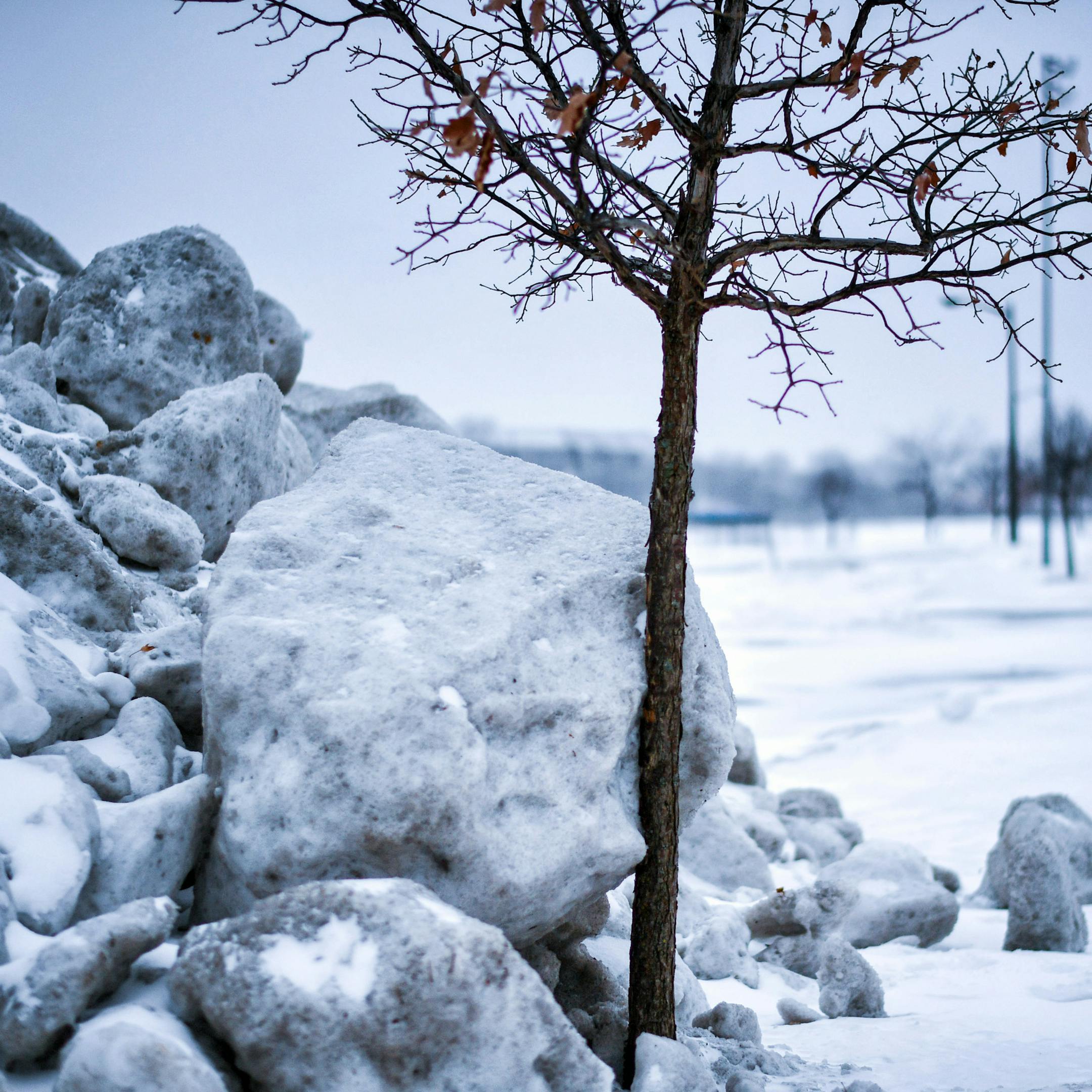 Minnesota Mid-February Landscapes. In an Apple Valley parking lot. ] GLEN STUBBE ï glen.stubbe@startribune.com Monday, February 19, 2018 Rain, snow, sleet, what is it? It's all of the above. A wintry mix is moving into the Twin Cities Monday morning and precipitation could last through Tuesday, the National Weather Service said.