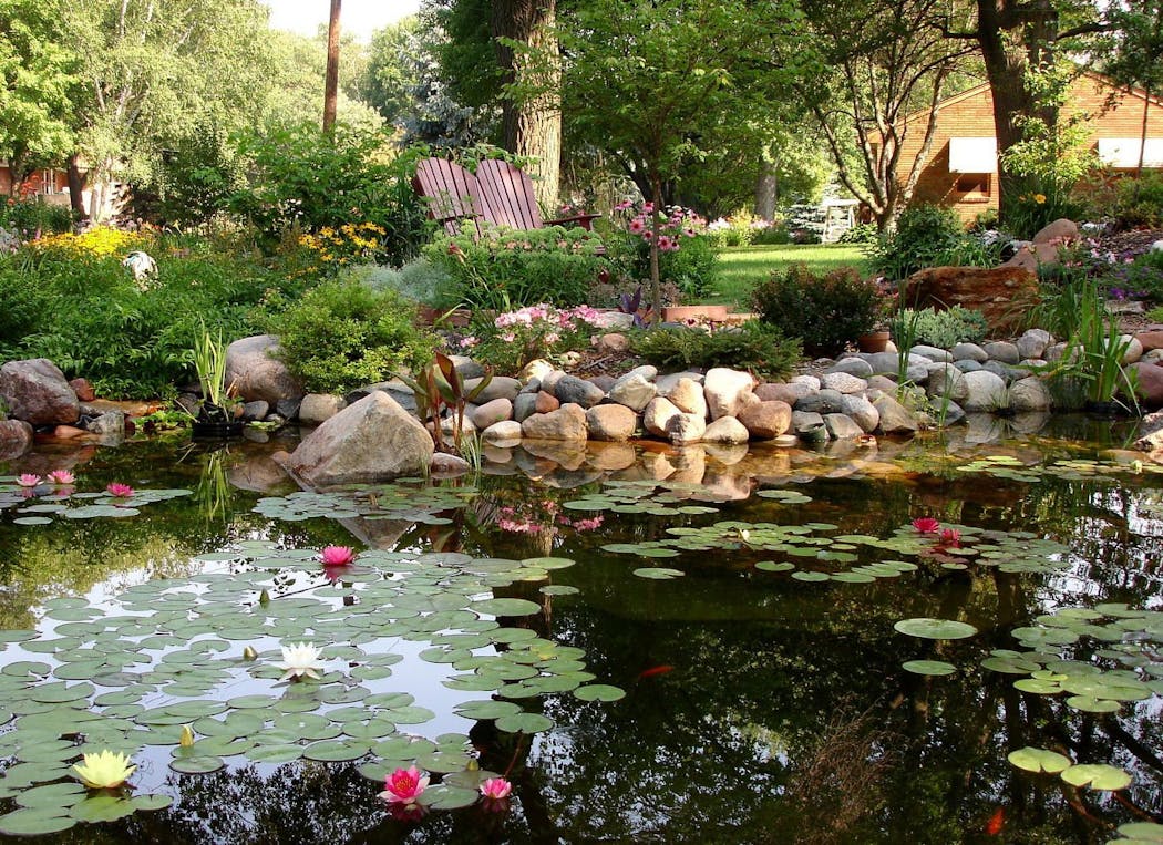 Bethany Husby’s garden/pond in Roseville.