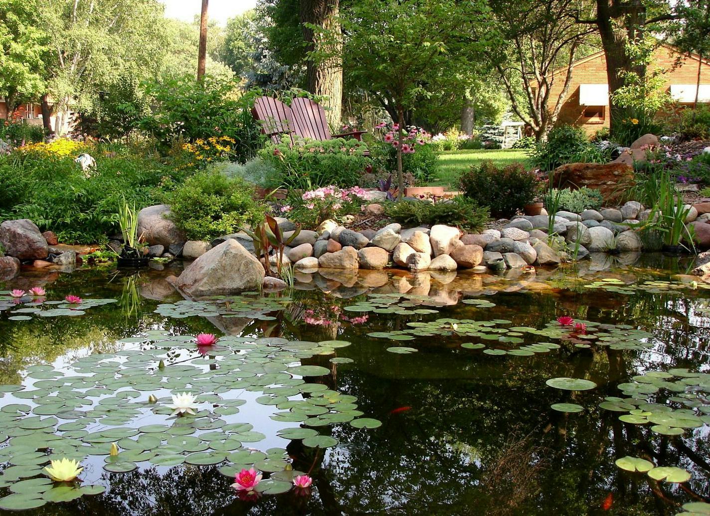 Bethany Husby's garden/pond in Roseville.