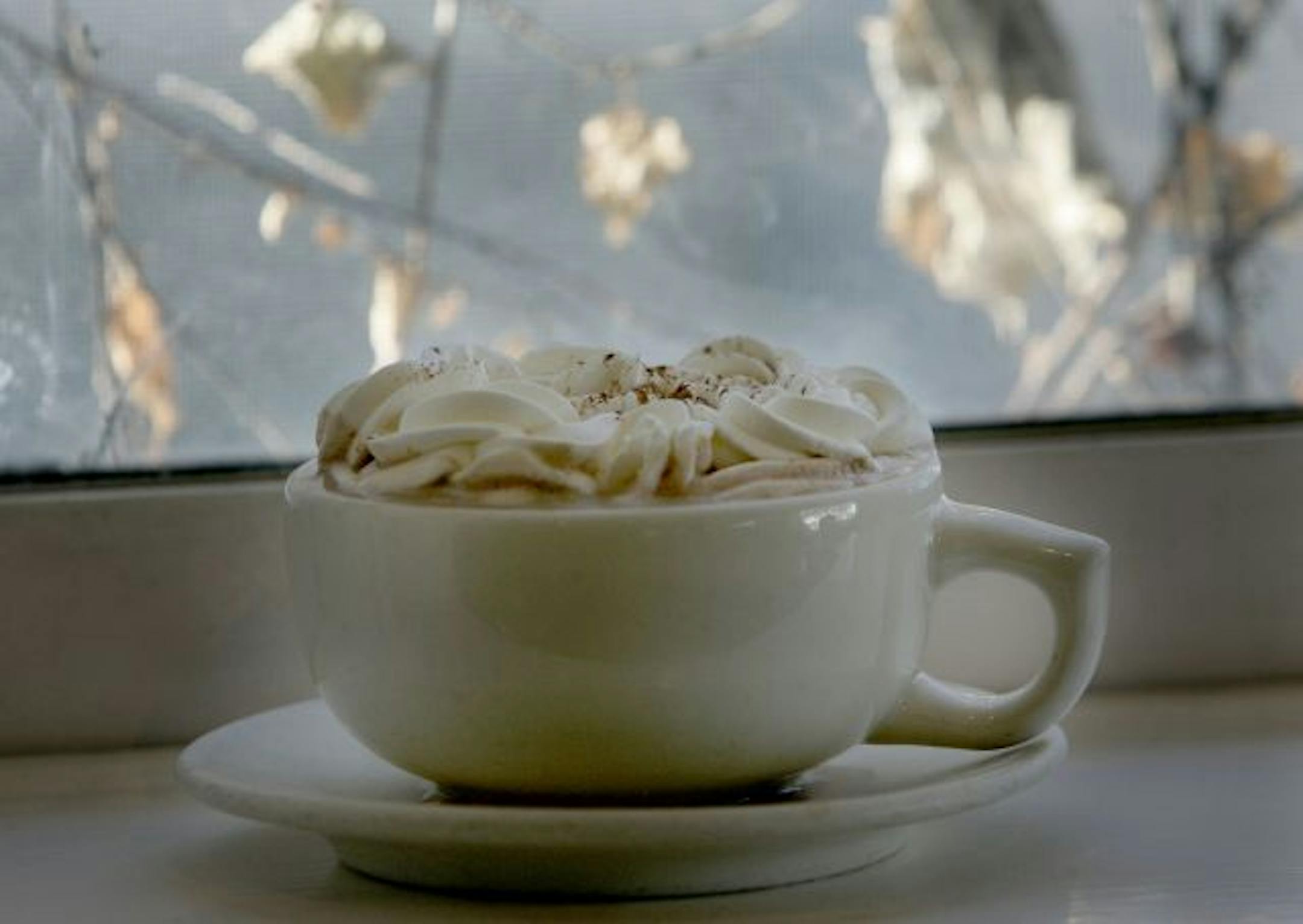 Hot Chocolate from Birchwood Cafe.