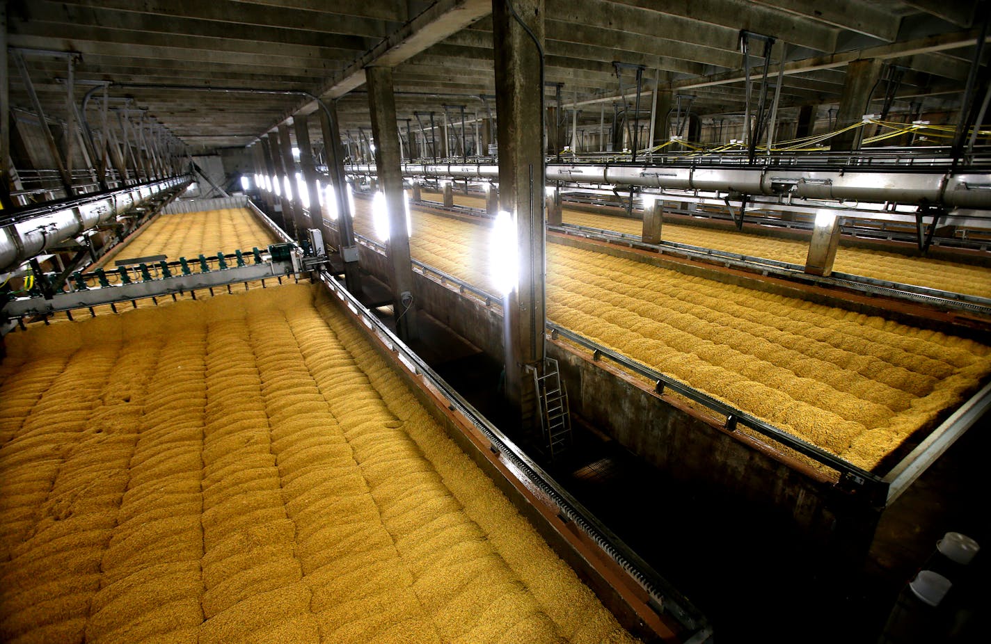 Rahr Malting, now the country's largest ingredient supplier to the fast-growing microbrewing industry. Over the years the company has had a big economic and civic impact on the community. Shakopee, MN on August 15, 2013. ] JOELKOYAMA&#x201a;&#xc4;&#xa2;joel koyama@startribune As Datacard gets ready to move to Shakopee we take a look at what it means to have a world headquarters in your city. The only other corporate headquarters the city can claim is Rahr Malting, now the country's largest ingre