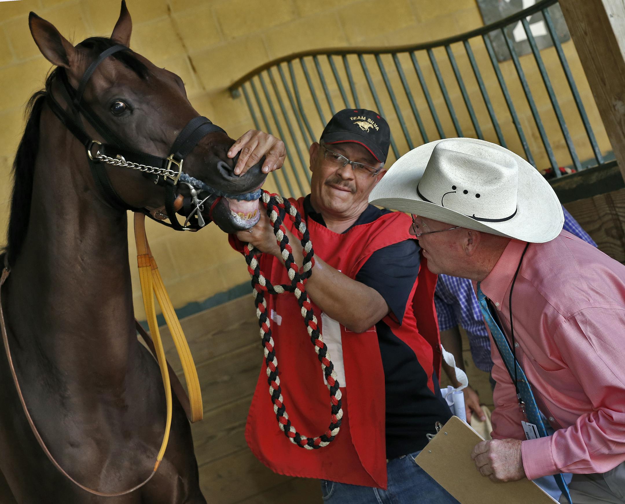 The Dirty Jobs of Canterbury. Mark Bader, right, examines the lips of race horses before every race in the Canterbury paddock area for an identifying tattoo. Holding the lips of Unusual Mystery is groom Enrique Garcia. (MARLIN LEVISON/STARTRIBUNE(mlevison@startribune.com