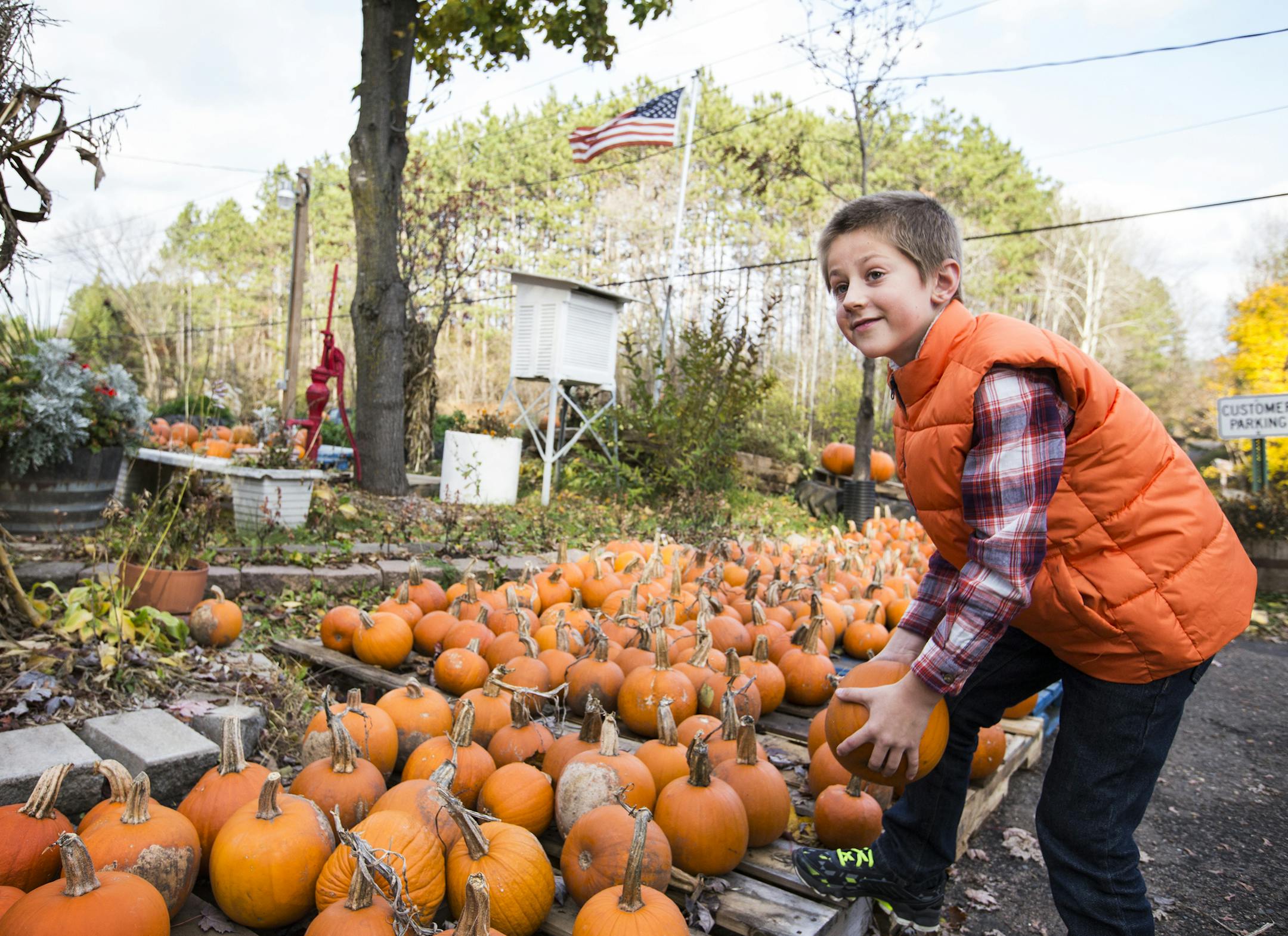 Miles Hilton, 9, of West St. Paul picks up a pumpkin while browsing at Kev's Korner in Inver Grove Heights on Friday, October 30, 2105. ] (LEILA NAVIDI/STAR TRIBUNE) leila.navidi@startribune.com BACKGROUND INFORMATION: After 40 years of selling produce to regulars in Inver Grove Heights, Kevin Huebscher is closing the farm stand that he believes is one of the last of its kind in Dakota County. It is also an institution in the community. Neighbors have tried to support the stand, even donating mo