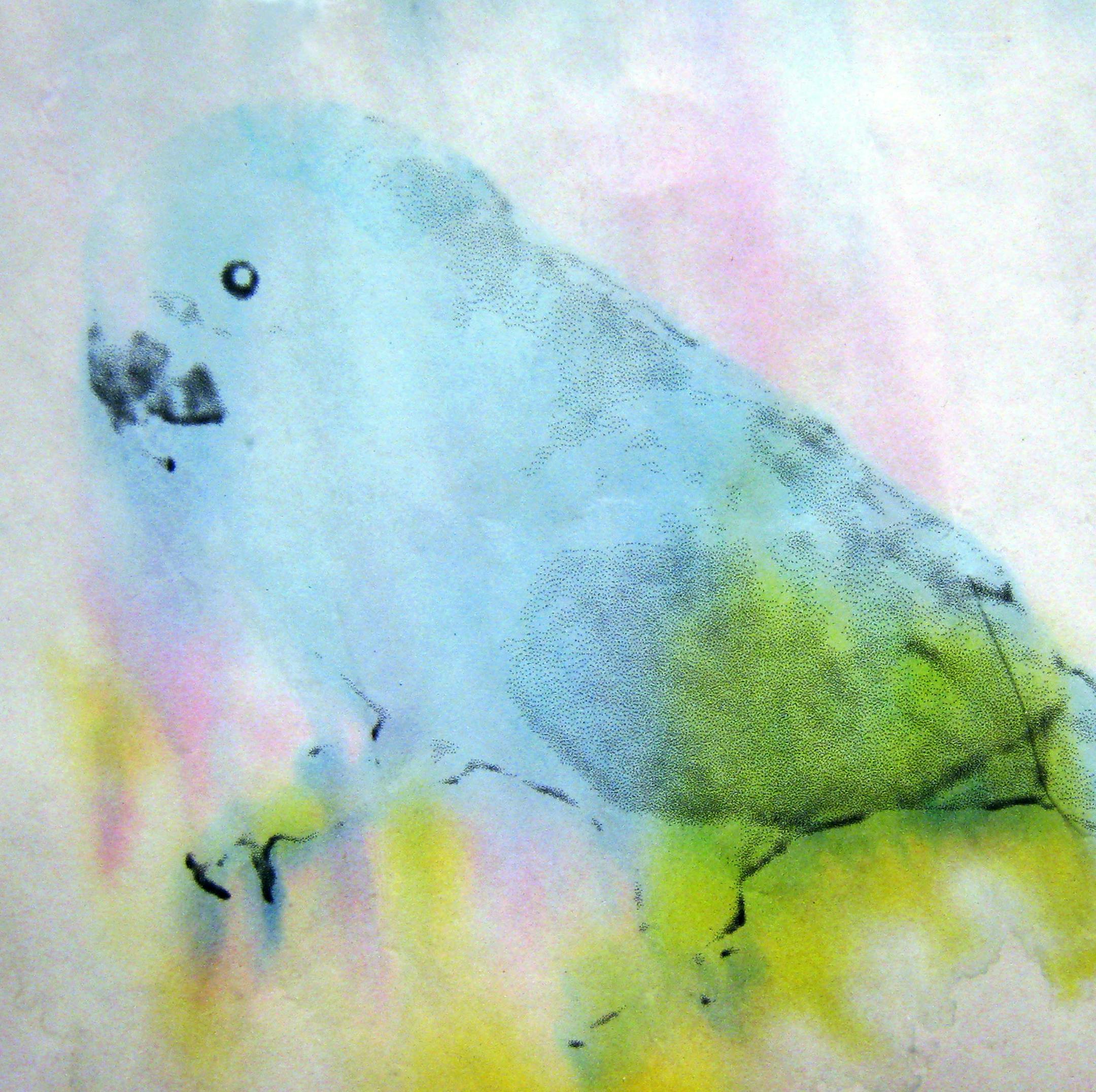 "Turdbird" by Paul Shambroom