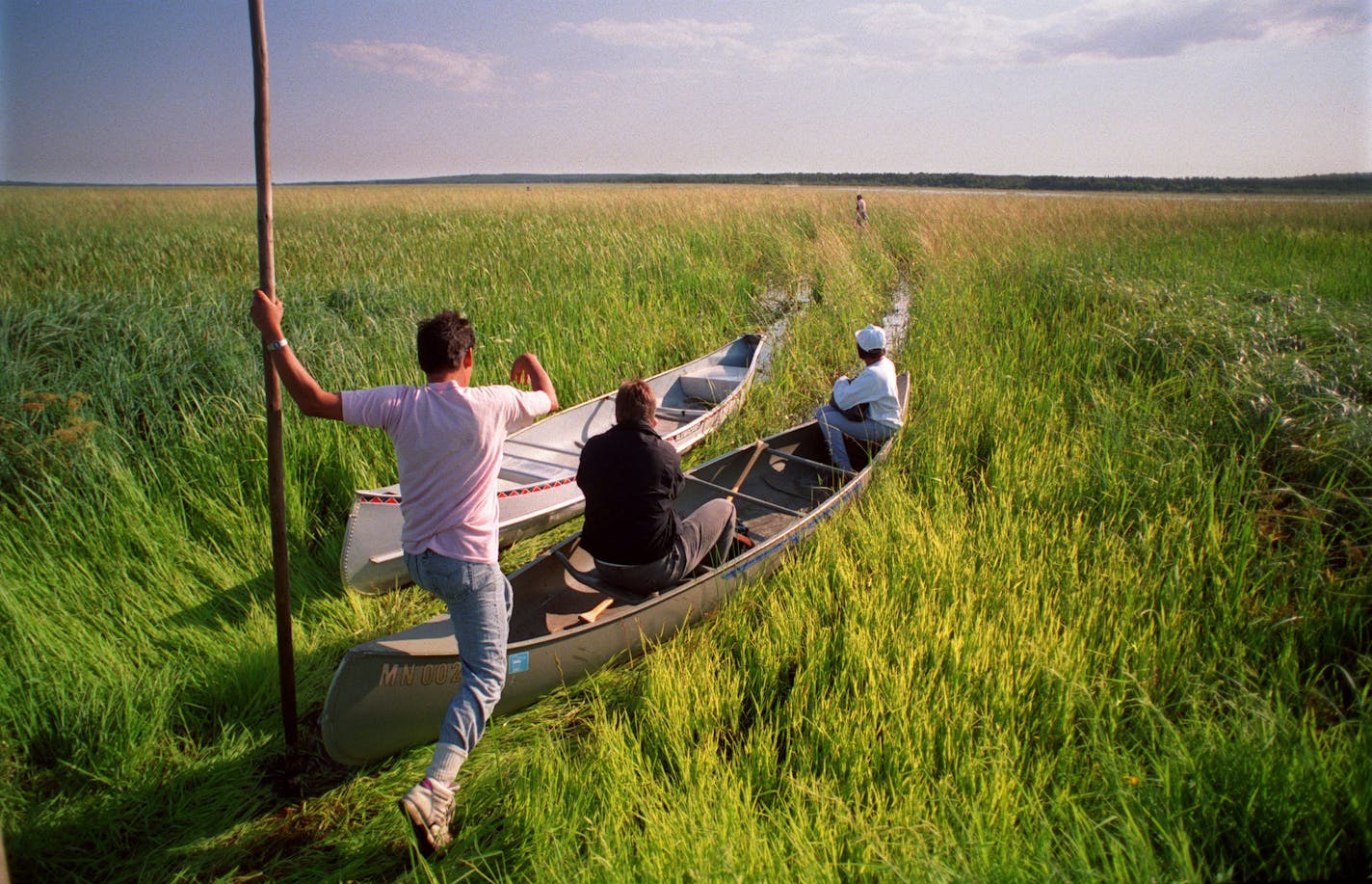 BRIAN PETERSON/Star Tribune file 1991 Canoes push off for a day of wild rice harvesting on the Ehite Earth Indian Reservation in 1991. ORG XMIT: MIN2014121815140905