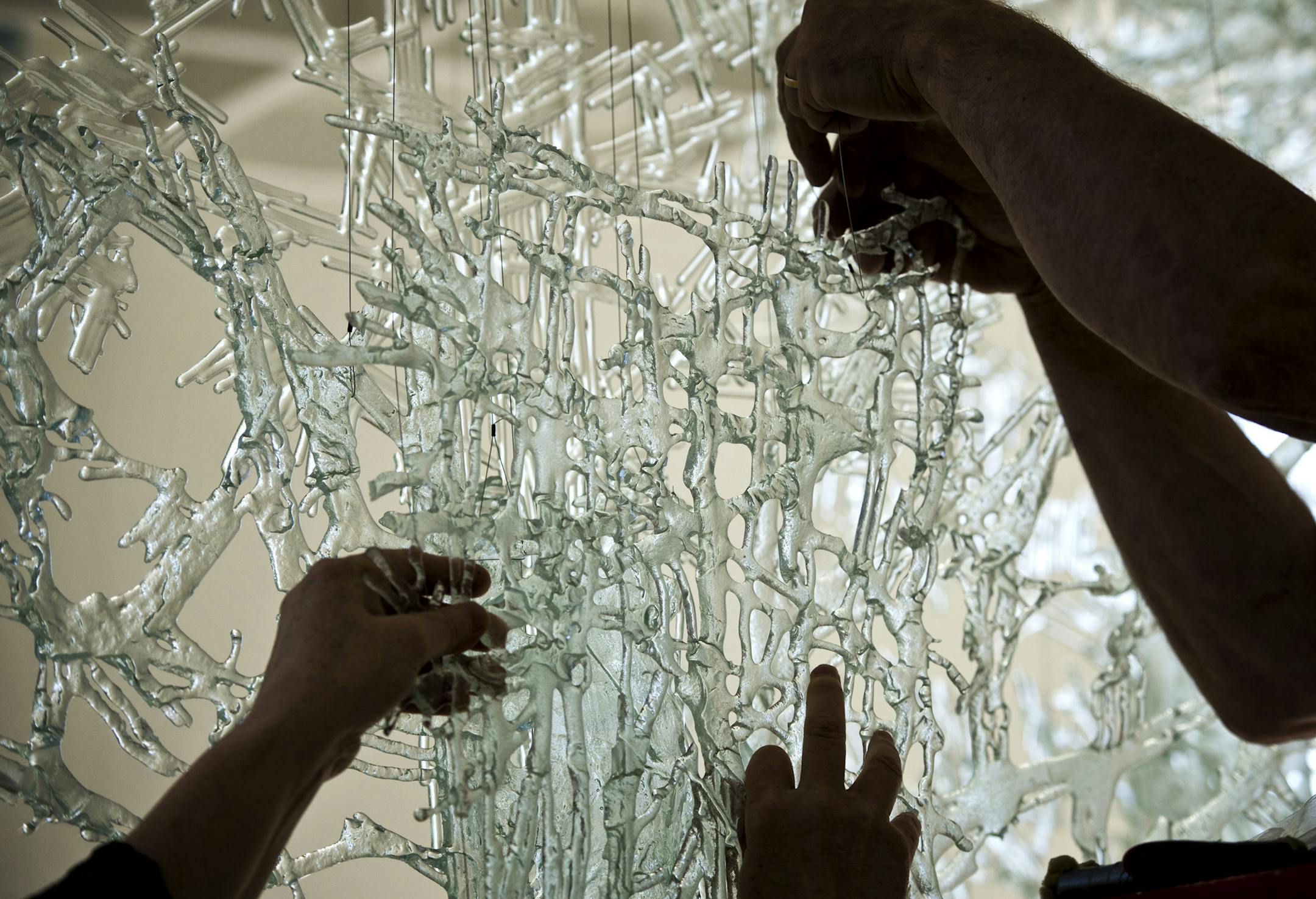 Swedish artist Ingalena Klenell and her husband Ragnar installed "Homeland" a glass sculpture of 7 trees in 120 parts and 8 glass postcards, as part of the Pull, Twist, Blow exhibit that will be on view at the American Swedish Institute from June 15 through October 13, 2013. Taken Thursday, June 13, 2013 ] GLEN STUBBE * gstubbe@startribune.com