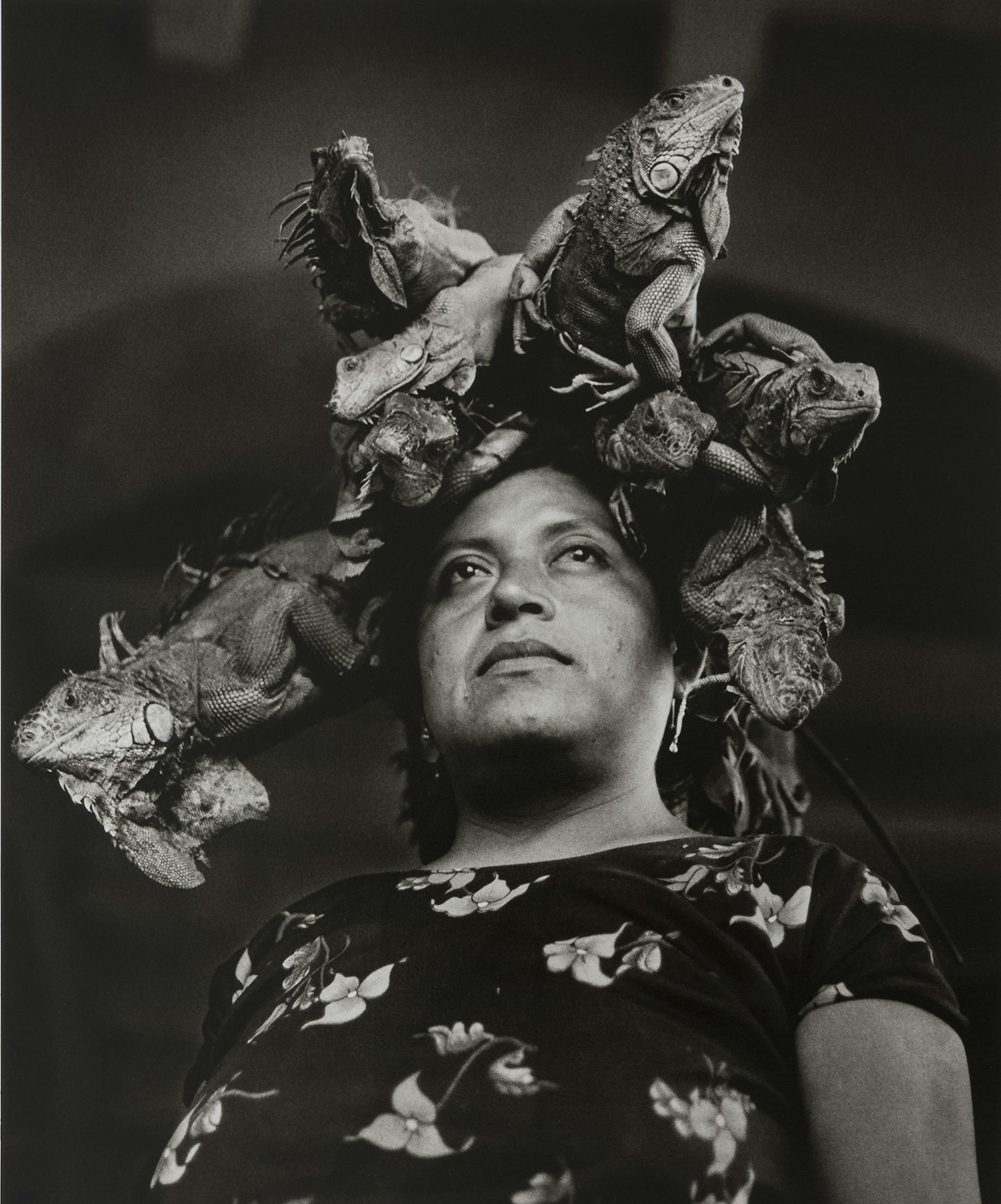 Nuestra Señora de las Iguanas (Our Lady of the Iguanas), Juchitán, México
Graciela Iturbide (Mexican, born in 1942)
1979
Photograph, gelatin silver print
*Daniel Greenberg and Susan Steinhauser
*© Graciela Iturbide
*Courtesy, Museum of Fine Arts, Boston