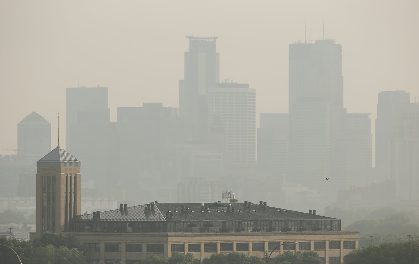 The Minneapolis skyline Monday afternoon from Ridgeway Parkway Park. JEFF WHEELER &#xef; jeff.wheeler@startribune.com Fires burning in Saskatchewan continue to degrade air quality in Minnesota, Monday, July 6, 2015.