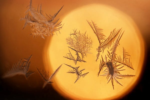 Frost formations on a winter window create unlimited options for interesting macro work. Add the rising sun for a point of interest and you can warm u