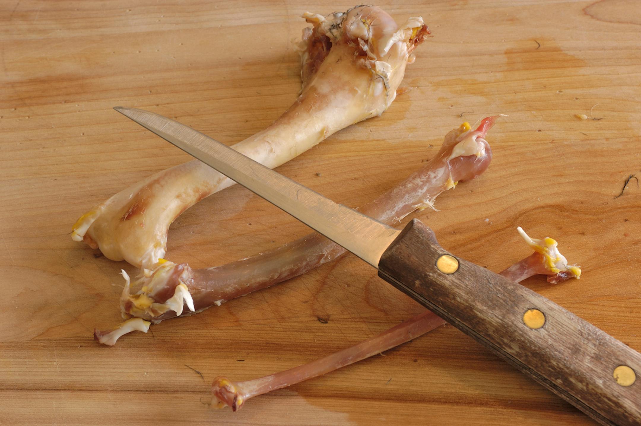 The bones are relatively clean and separated, ready for the next step.