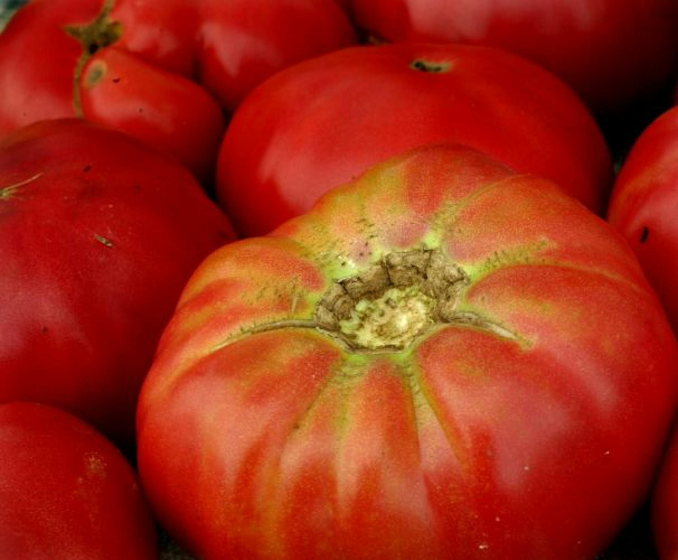 Peter Hughes grows organic heirloom tomatoes at his farm in Cambridge, Minn. and sells them at several St. Paul farmers market locations. Thursday afternoon he is at the Burnsville branch of the St. Paul Farmers Market, which is located at Mary, Mother of the Church, 3333 Cliff Rd., Burnsville, noon to 5 p.m.