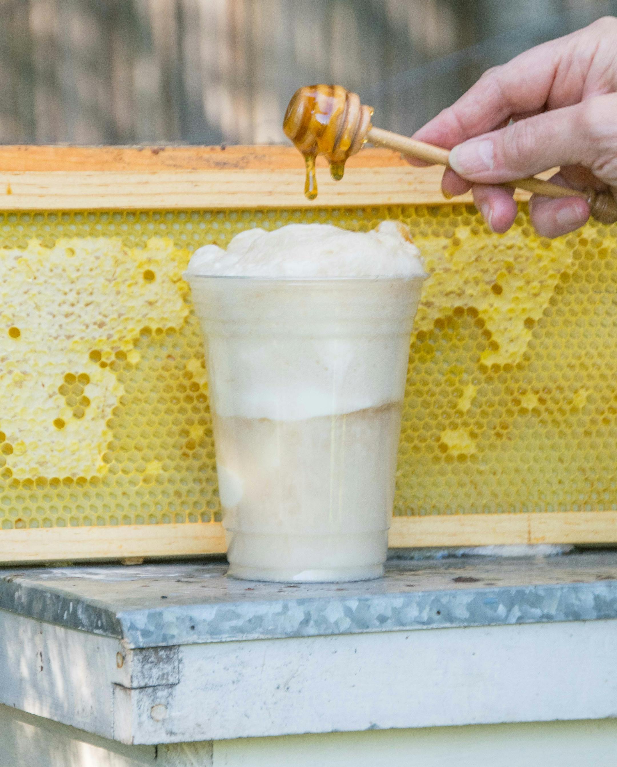 Honey Cream Soda Float: Honey cream soda (made without sugar) poured over Minnesota Grown honey ice cream. At Minnesota Honey Producers Association, located on the north side of the Agriculture Horticulture Building.