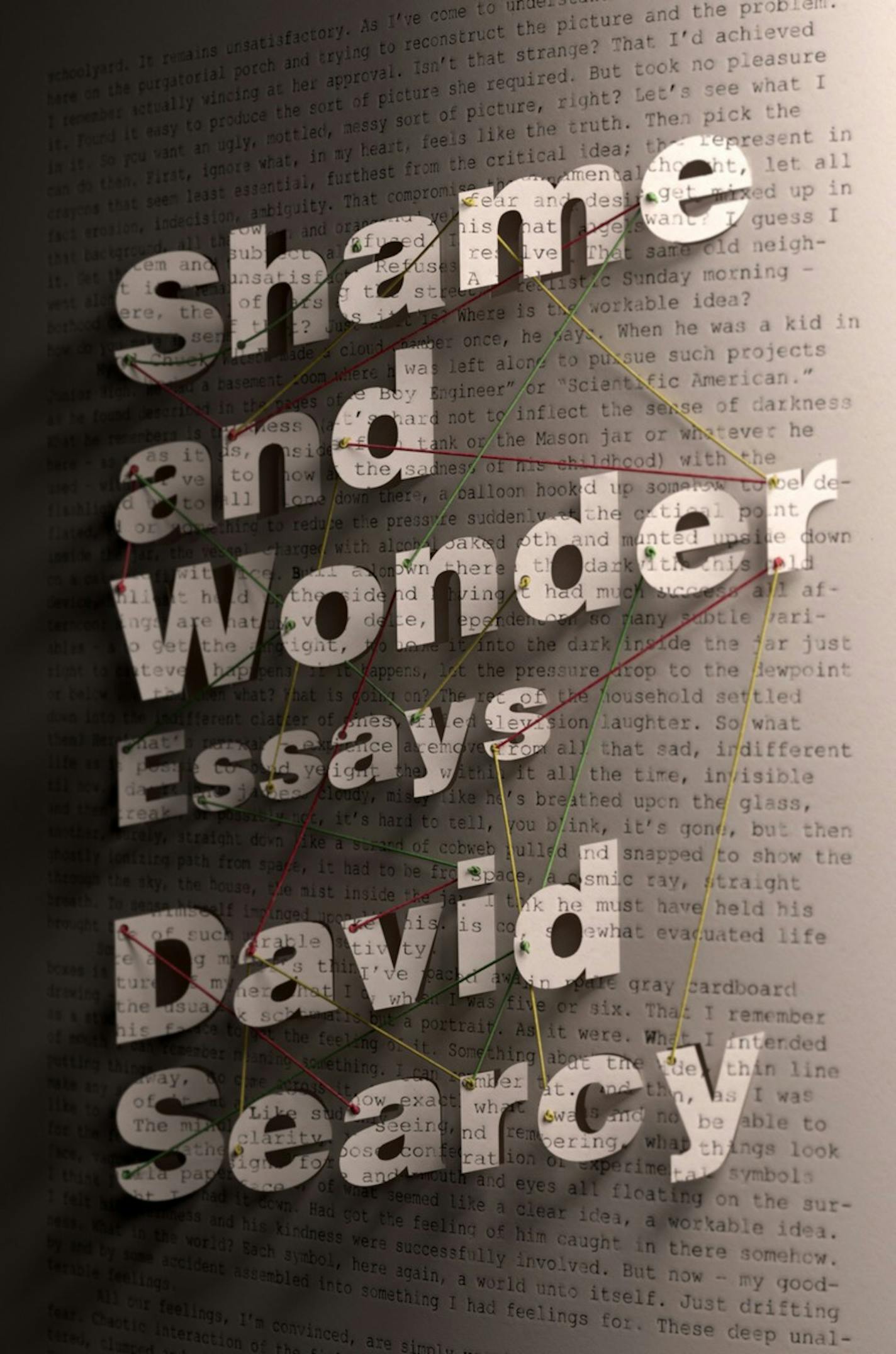 "Shame and Wonder," essays by David Searcy