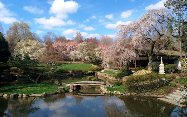 Shofuso Japanese Garden in Philadelphia. The three dominant features in a Japanese garden are plants, stones and water. (Shofuso Japanese Garden)