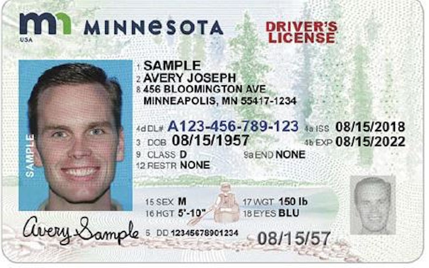 Standard Minnesota driver's license.