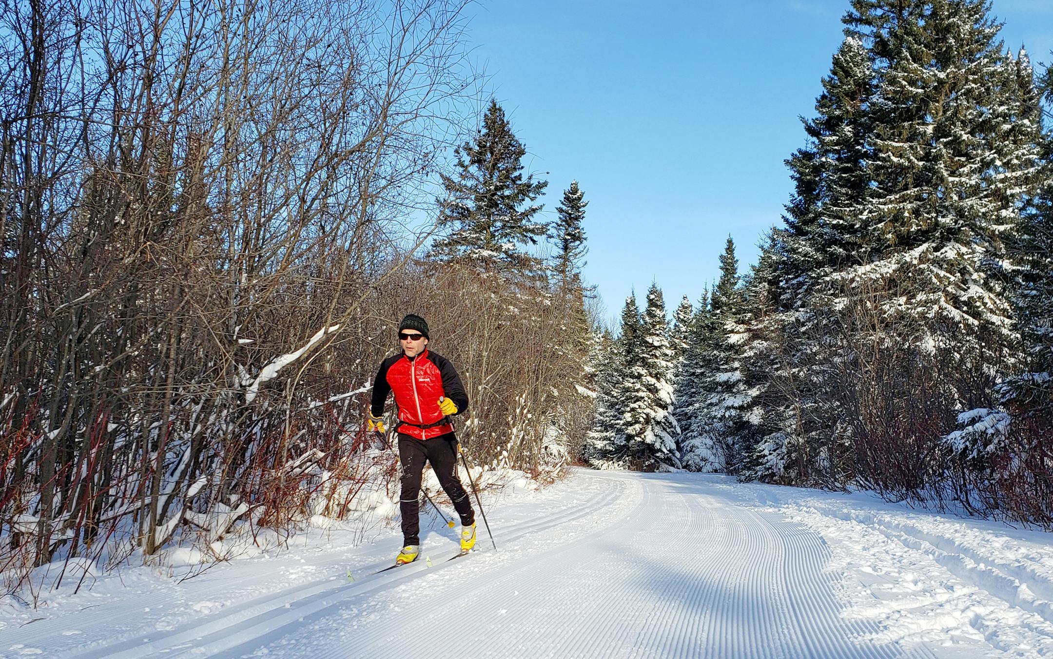 The Sugarbush Ski Trail System cuts through the Superior National Forest in the Lutsen-Tofte area along the North Shore. Photo by Jim Vick, provided by Visit Cook County