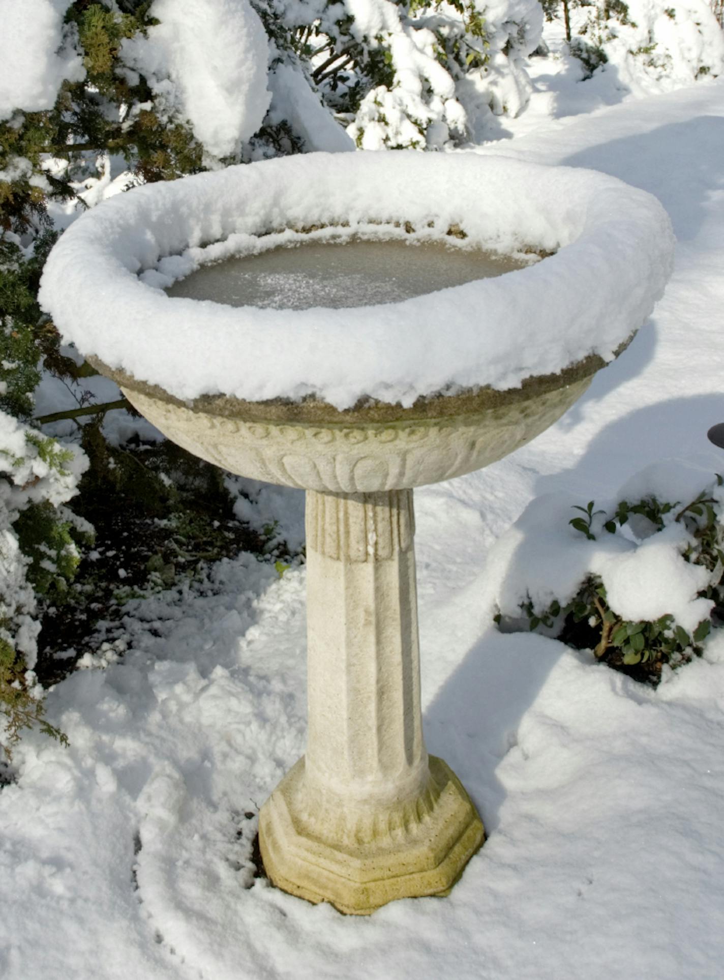 Istock.com
Bird bath in winter