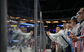 Fans cheered during the quarterfinals at Xcel Energy center.