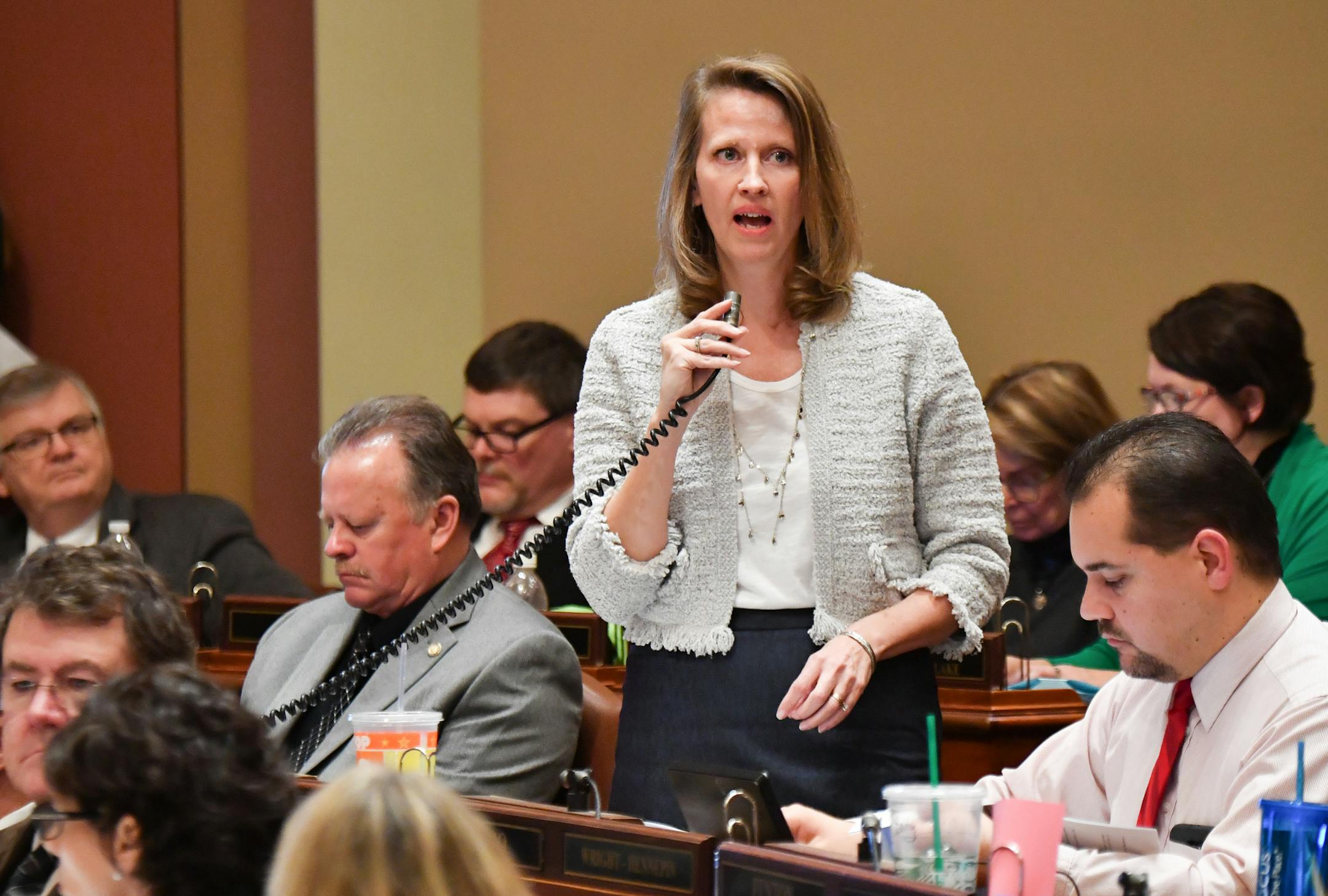 Rep. Sarah Anderson, R-Plymouth, defended her bill to reform the MSFA on the House floor from a barrage of amendments proposed by DFL House members. ] GLEN STUBBE ï glen.stubbe@startribune.com Monday, March 6, 2017