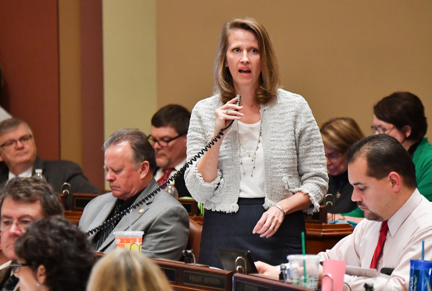 Rep. Sarah Anderson, R-Plymouth, defended her bill to reform the MSFA on the House floor from a barrage of amendments proposed by DFL House members. ] GLEN STUBBE &#xef; glen.stubbe@startribune.com Monday, March 6, 2017