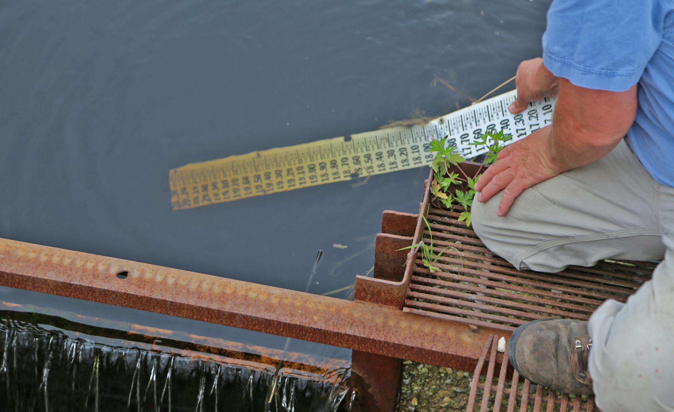 Hay fields and other buffer crops that border Tony Thompson’s corn and soybean fields minimize runoff from the lands, helping to keep the watershed clean. Here, a stream that drains his and other bordering lands is checked for clarity.