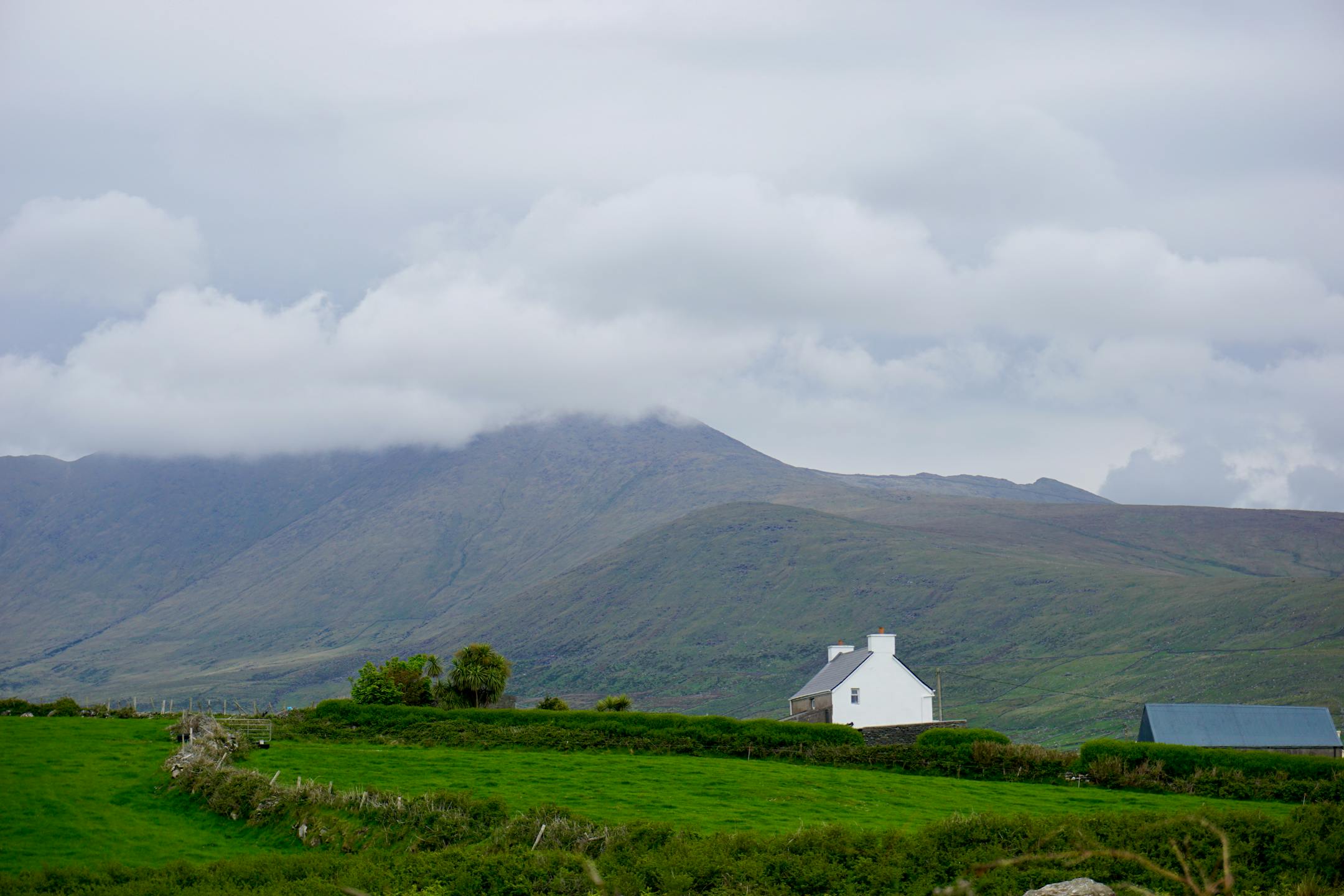 Mount Brandon presented a rainy challenge on the last day of hiking along the Dingle Way in southwestern Ireland, but the rewards were considerable.