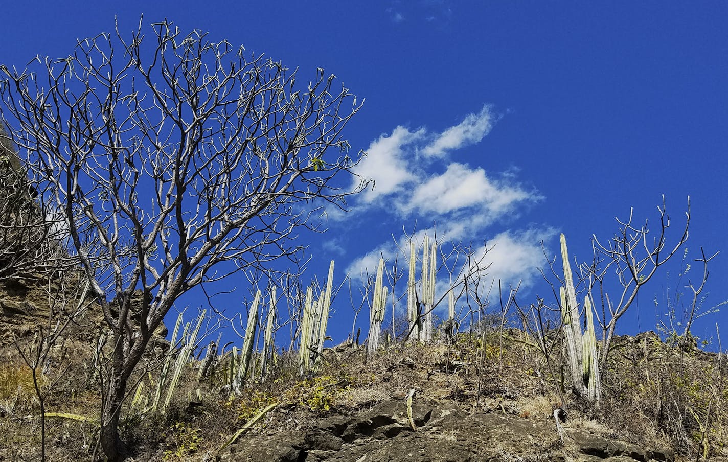 Nicaragua: yoga, surfing and a double-volcano island. San Juan del Sur, Granada and Ometepe . Photos by Simon Groebner