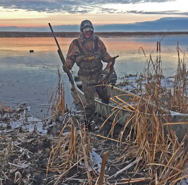 Weather cooperated this fall during the Minnesota duck season, and some hunters found more birds than they have in recent years.
