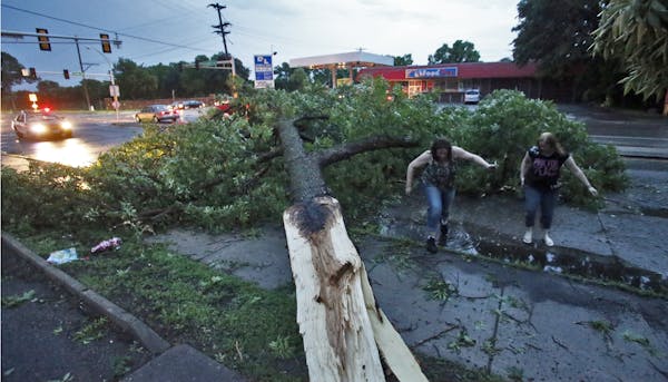 Storm damage in St. Paul - tree down across Larpenteur Ave. at Dale Street. Heidi Lee, left, and Sarah Reiter examined the tree that split from its tr