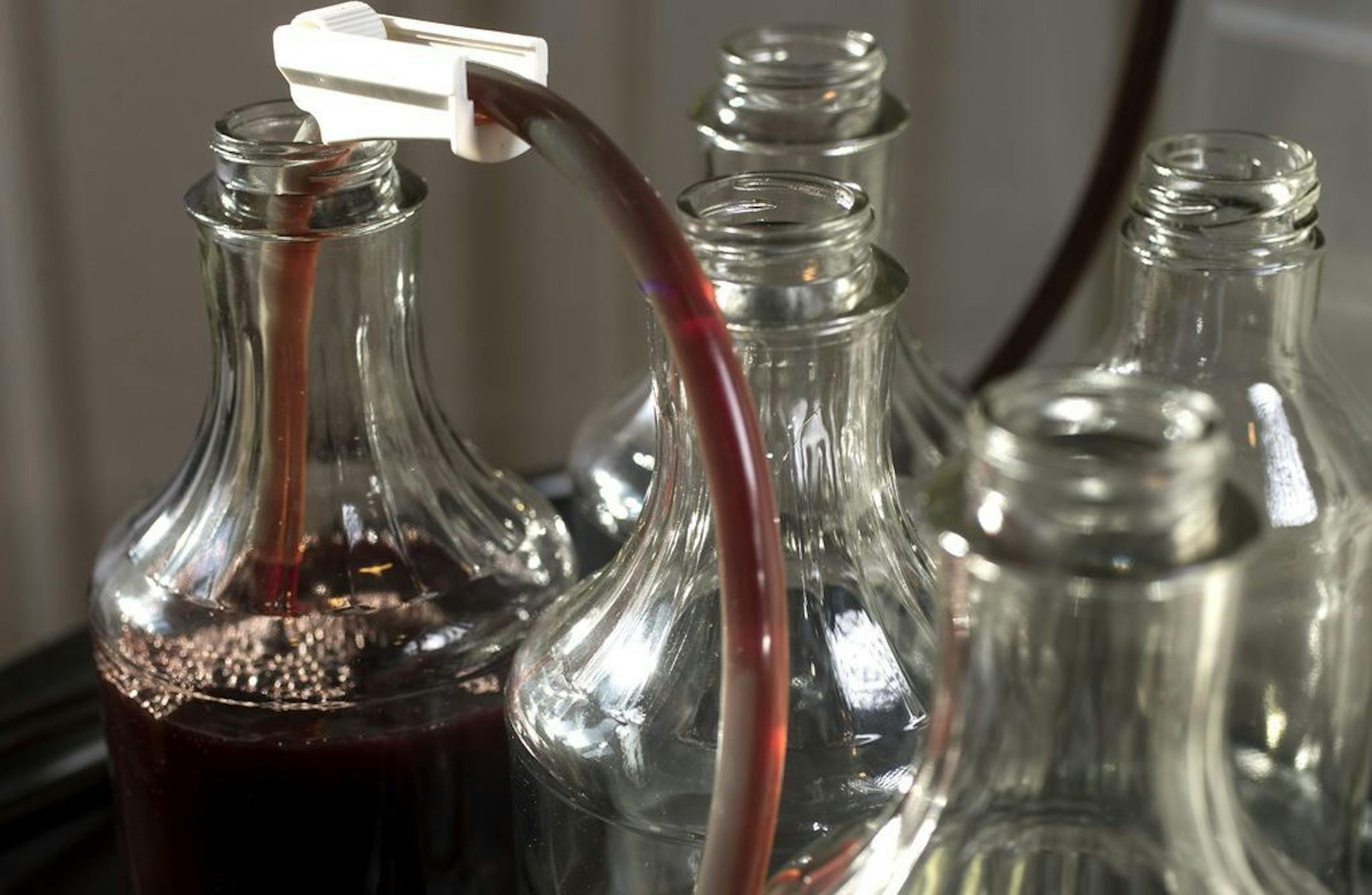 Lindsey Christianson, the "Elderberry Queen" made a batch of elderberry syrup in her home kitchen Wednesday Feb 28, 2018 in Ramsey, MN.