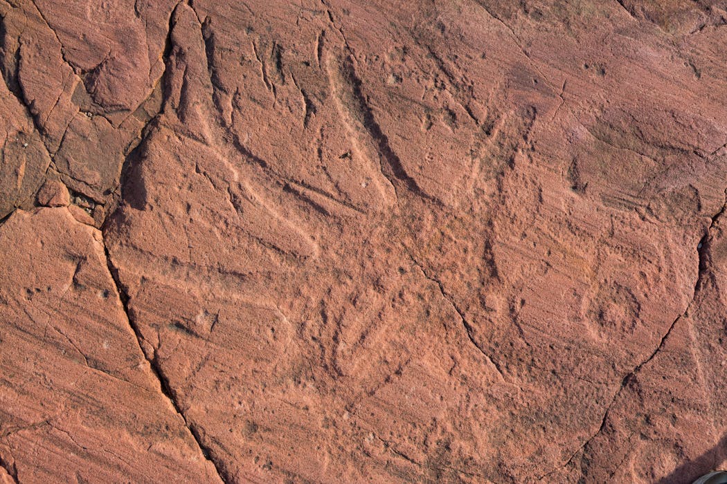 A rock carving at the Jeffers Petroglyphs site, possibly depicting a constellation.