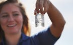 Hannah Young, a community health worker for Hennepin County, demonstrates how water samples are collected at Wayzata Beach Wednesday, July 13, 2016, i