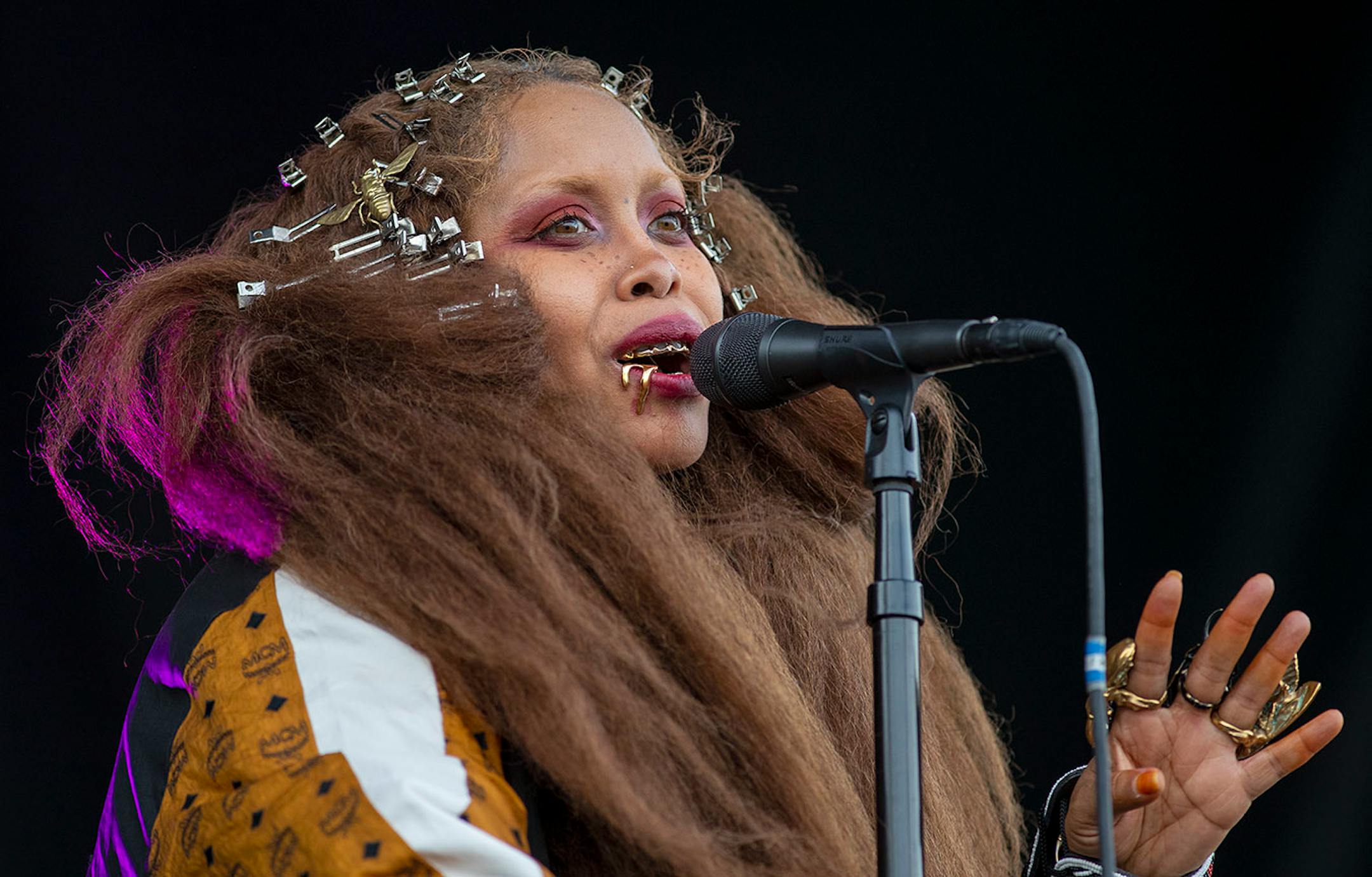 Erykah Badu performed during Soundset at the Minnesota State Fair grounds.