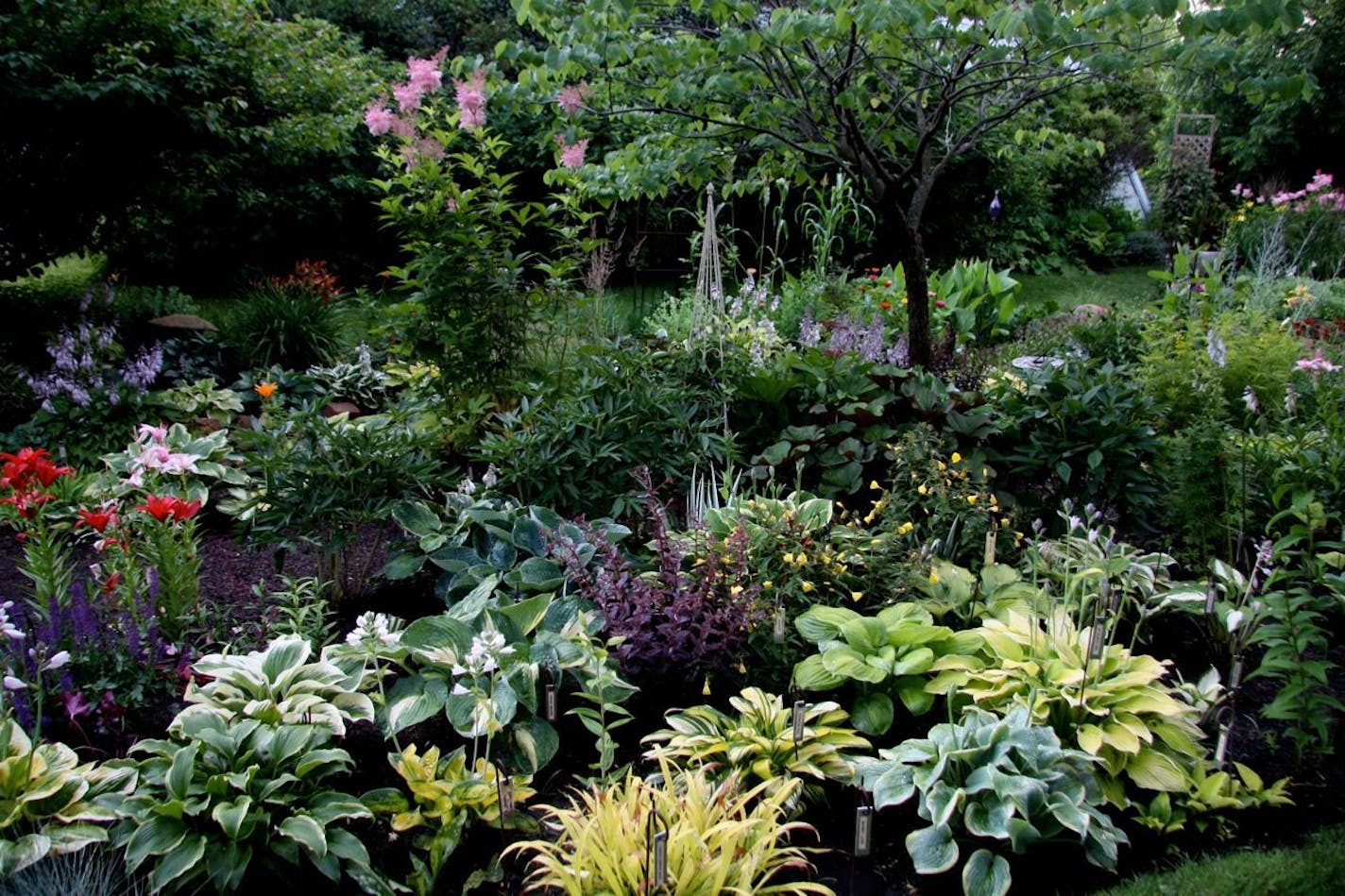 Mike and Kathy Pedersen's Shakopee gardens are an oasis of colorful perennials and hosta bordering a stream and pond. Provided