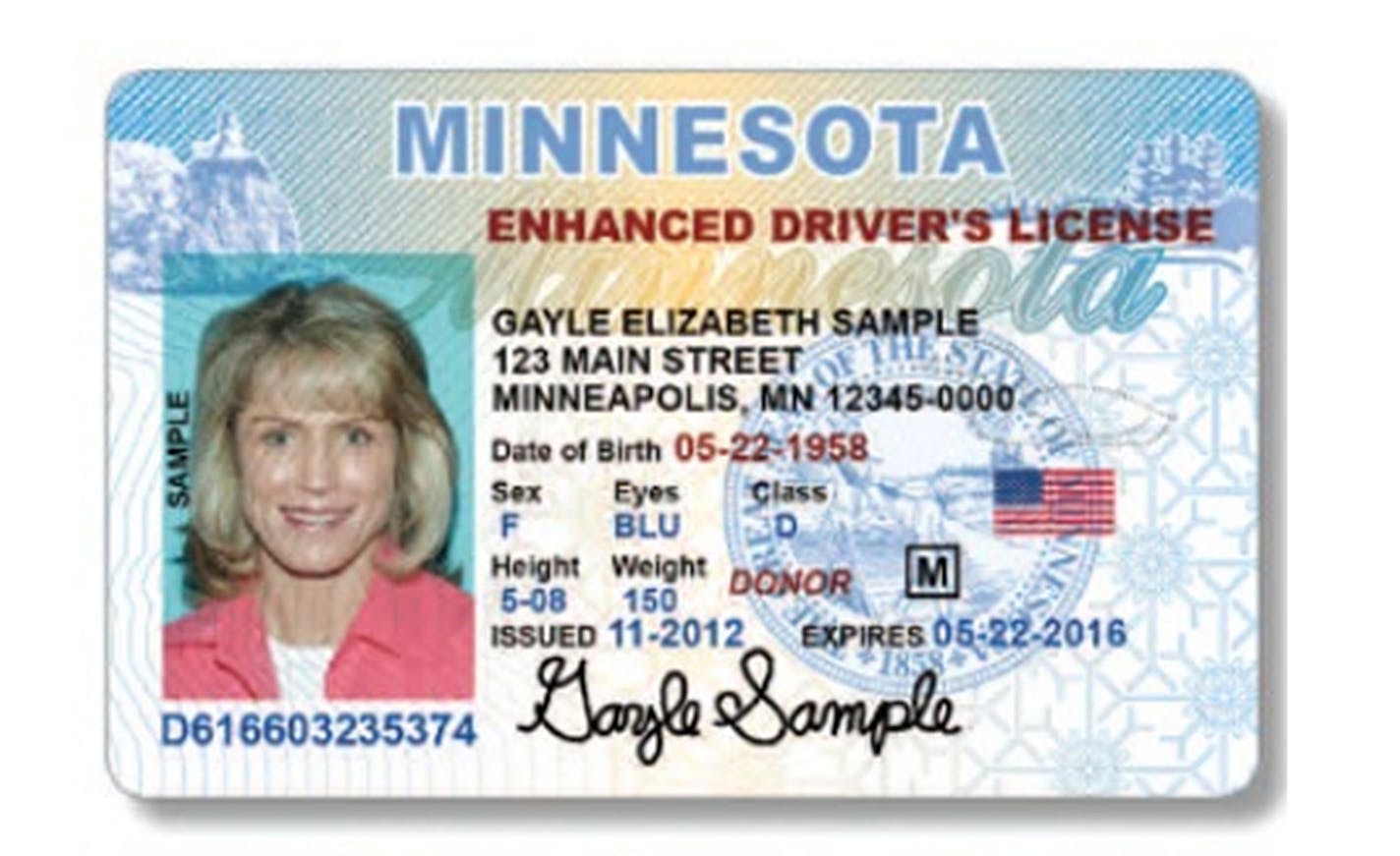 Minnesota sample identification card and drivers license. This is a sample provided by the Minnesota department of Public Safety ORG XMIT: MIN1509261615310292