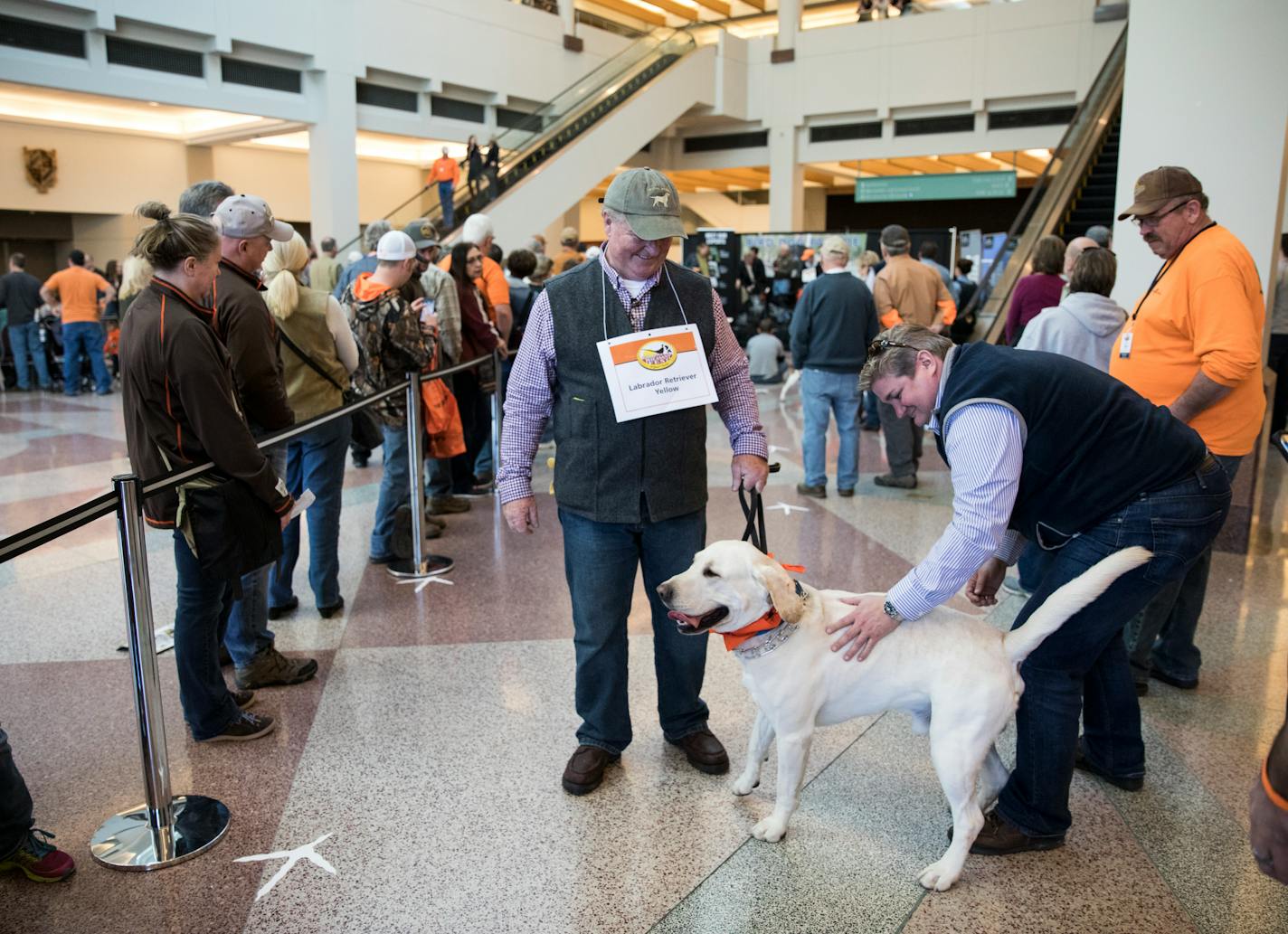 Joe Strang, of Cascade, Iowa, let guests pet his Labrador retriever Sully as he walked in the Pheasant Fest and Quail Classic dog parade in 2017 at the Minneapolis Convention Center.