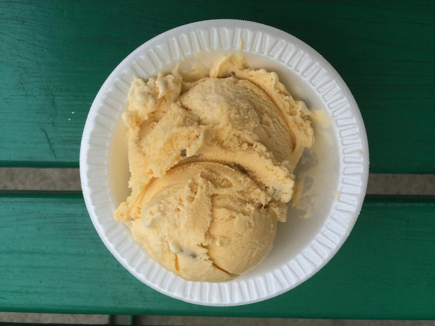 Rick Nelson, Star Tribune Minnesota State Fair 2016: New food Honey-Sunflower Ice Cream, MN Honey Producers